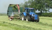 Lucerne helps rid arable fields of blackgrass and provides high value feed for dairy cows